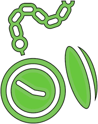 Poisonous Eye